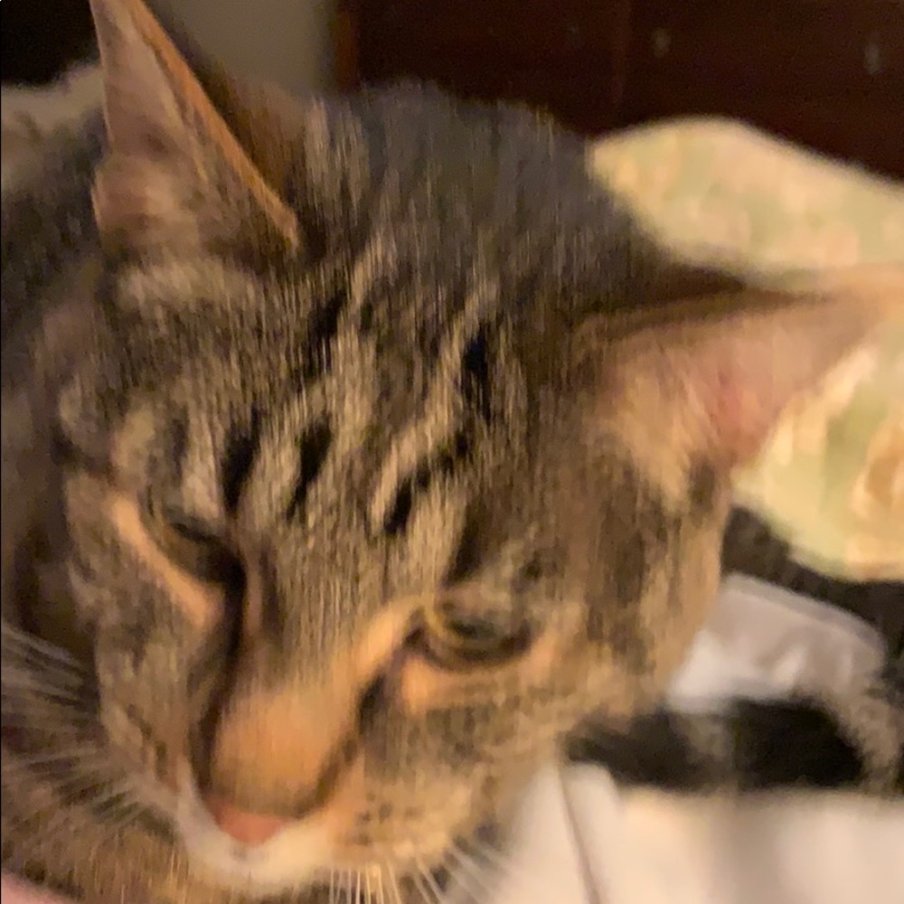 Meet your Posher, Stacy